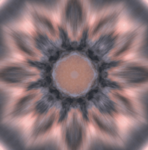 ThanksGiving Reiju Empowerment Student Lab  @ On Zoom